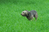 dsc_0006.jpg