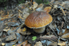 dsc_0008.jpg
