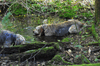 dsc_0006.jpg