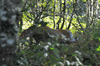 dsc_0007.jpg
