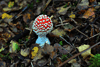 dsc_0011.jpg