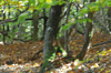 dsc_0004.jpg