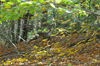 dsc_0005.jpg