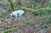dsc_0003.jpg