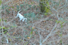 dsc_0004.jpg