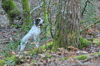 dsc_0005.jpg