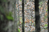 dsc_0015.jpg