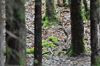 dsc_0016.jpg