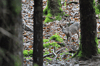 dsc_0017.jpg