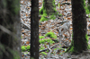 dsc_0018.jpg