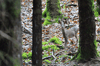 dsc_0019.jpg