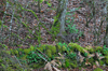 dsc_0020.jpg