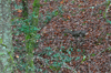 dsc_0021.jpg