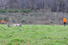 dsc_0007.jpg