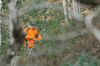 dsc_0002.jpg