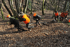 dsc_0011.jpg