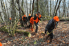 dsc_0012.jpg