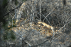 dsc_0018.jpg