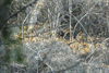 dsc_0019.jpg