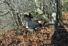dsc_0020.jpg