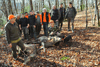 dsc_0036.jpg