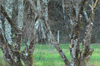 dsc_0014.jpg