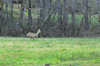 dsc_0016.jpg
