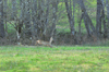 dsc_0017.jpg