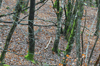 dsc_0029.jpg