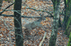 dsc_0030.jpg