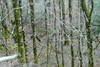 dsc_0031.jpg