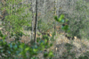 dsc_0039.jpg