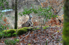 dsc_0012.jpg