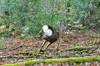 dsc_0014.jpg
