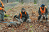 dsc_0006.jpg