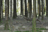 dsc_0012.jpg
