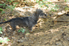 dsc_0024.jpg