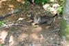 dsc_0025.jpg