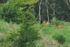 dsc_0012.jpg