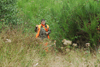 dsc_0014.jpg