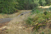 dsc_0015.jpg