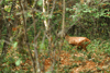 dsc_0016.jpg