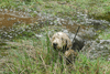 dsc_0017.jpg