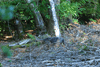 dsc_0001.jpg