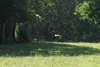 dsc_0004.jpg