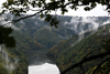 dsc_0003.jpg