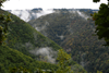 dsc_0004.jpg