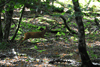 dsc_0008.jpg