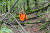 dsc_0002.jpg