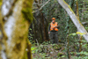 dsc_0013.jpg